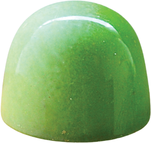 Feijoa