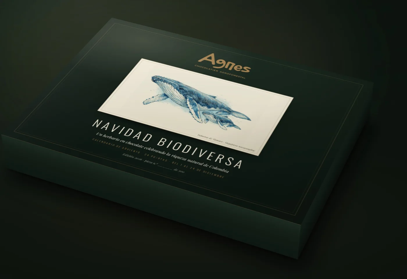 Navidad Biodiversa · caja cerrada